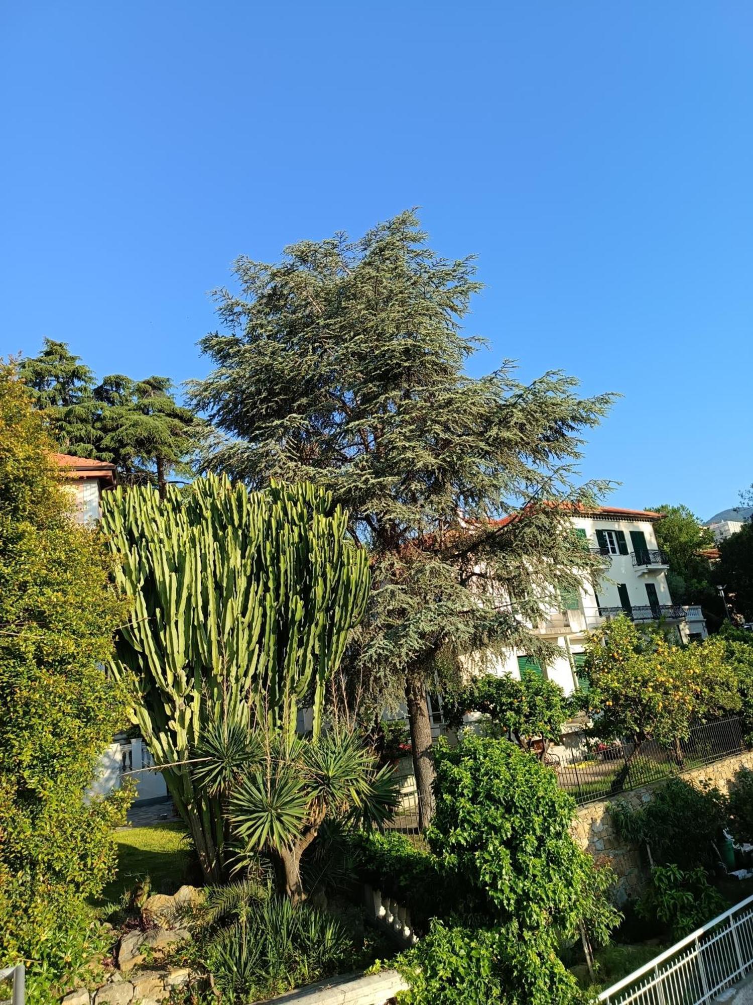 Casa Francesca Con Parcheggio Gratuito Daire Sanremo Dış mekan fotoğraf